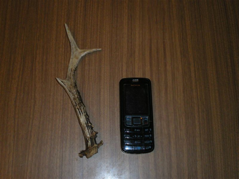 palchi raccolti